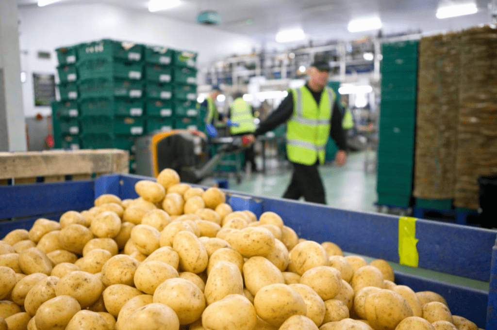 Palletizing and labeling service New Orleans — OLIMP pallet rework