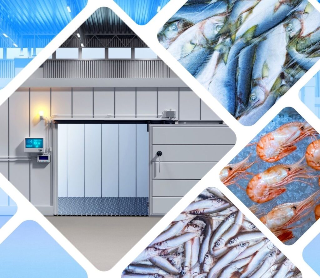 Protect your products with OLIMP’s reliable cold storage services in Washington DC.