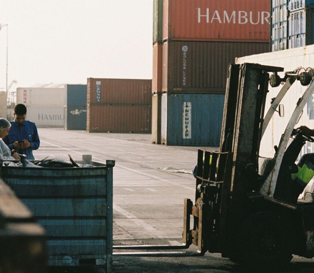 Cross docking in supply chain helping businesses achieve faster, cost-effective distribution.