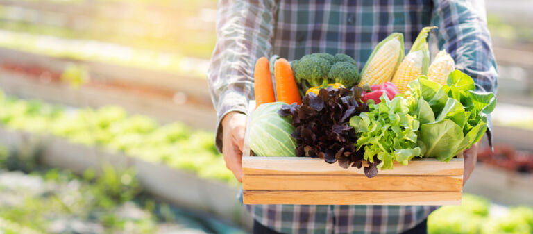 what-is-food-logistics