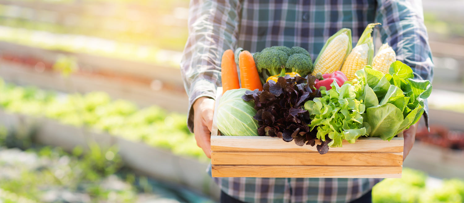 what-is-food-logistics